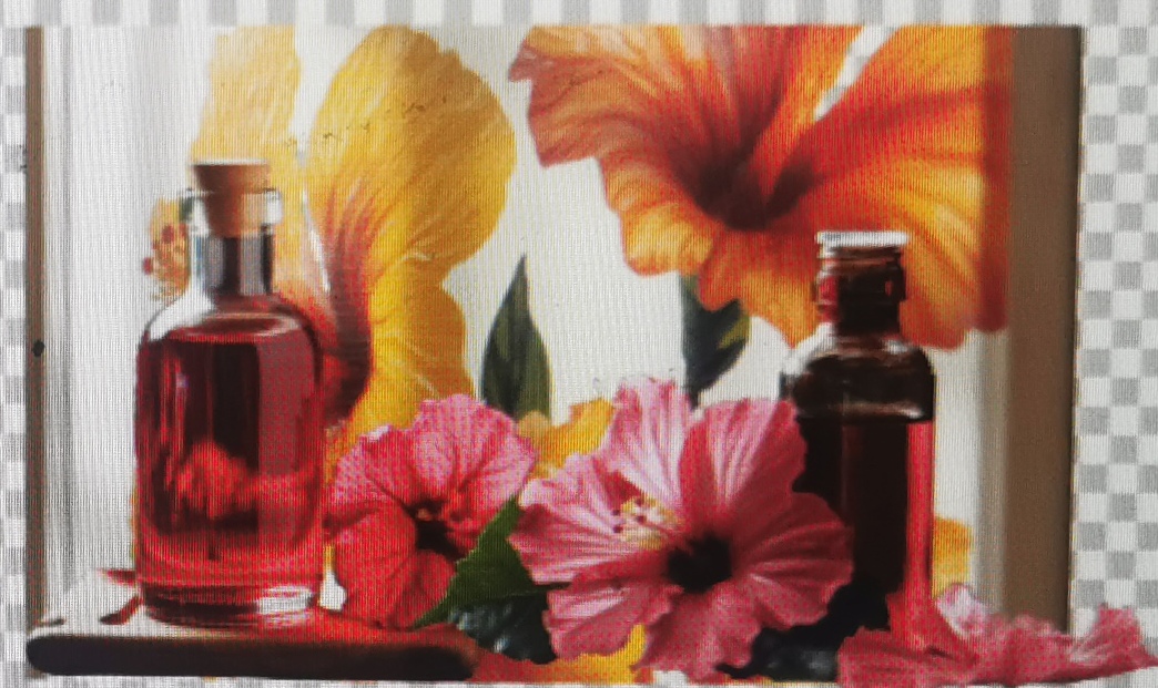 Hibiscus